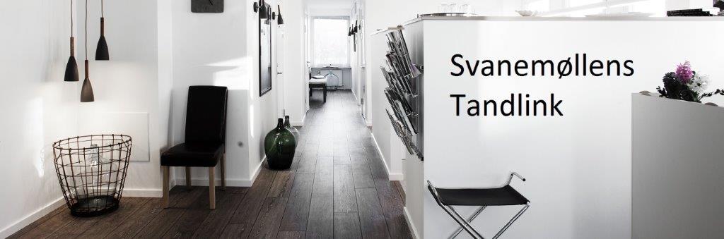 Svanemøllens.jpg